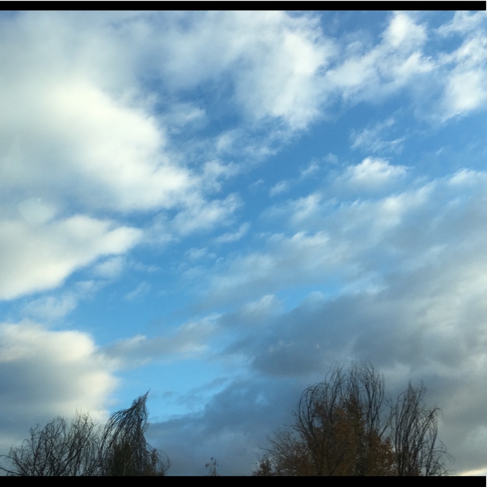 Meet your Posher, Sue